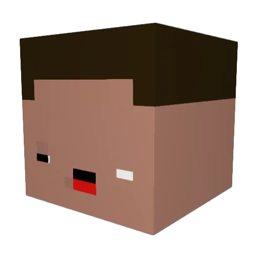 MaxiPlayzz11 Minecraft avatar head, 3D render