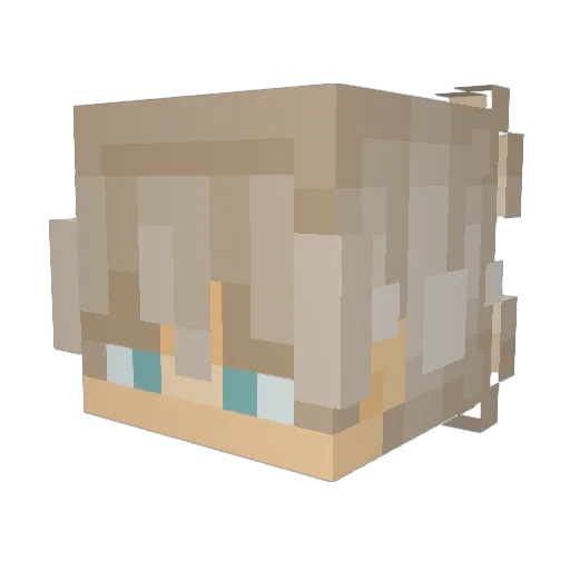 Maxi_King67 Minecraft avatar head, 3D render