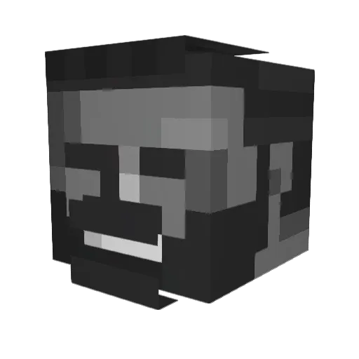Maxiaid Minecraft avatar head, 3D render