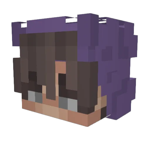 Maxicat2046 Minecraft avatar head, 3D render