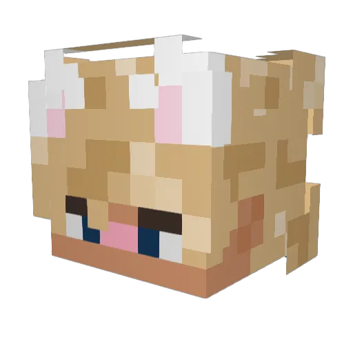MaxidasTaxi1 Minecraft avatar head, 3D render