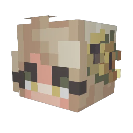 MaxieGaming Minecraft avatar head, 3D render