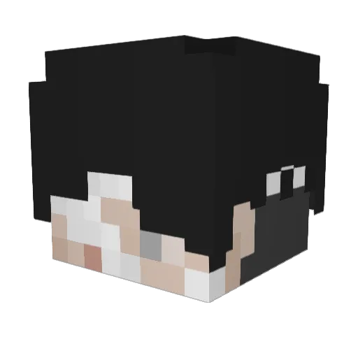 MaxieInit Minecraft avatar head, 3D render