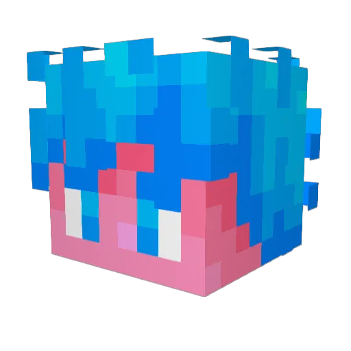 Maxii75 Minecraft avatar head, 3D render