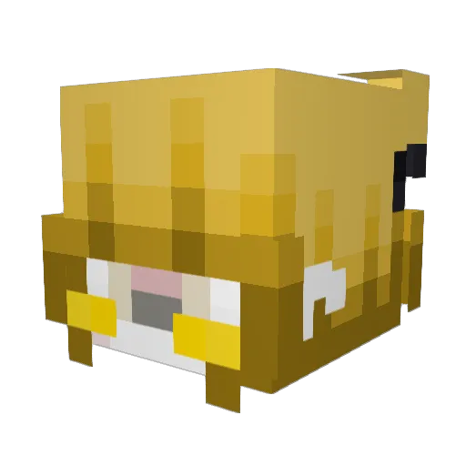Maxii_787 Minecraft avatar head, 3D render