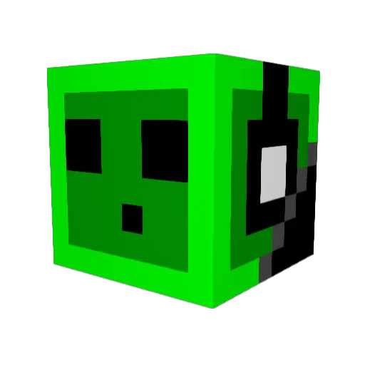 MaximalSalmon7 Minecraft avatar head, 3D render