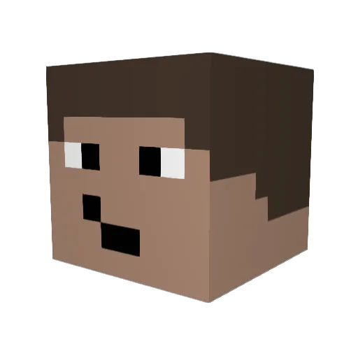 MaximeBiaggi Minecraft avatar head, 3D render