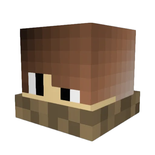 MaximeSov Minecraft avatar head, 3D render