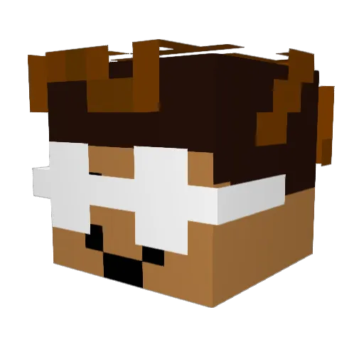 MaximilanICU Minecraft avatar head, 3D render