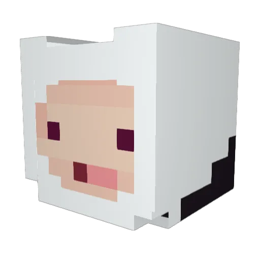Maximilianomtz Minecraft avatar head, 3D render