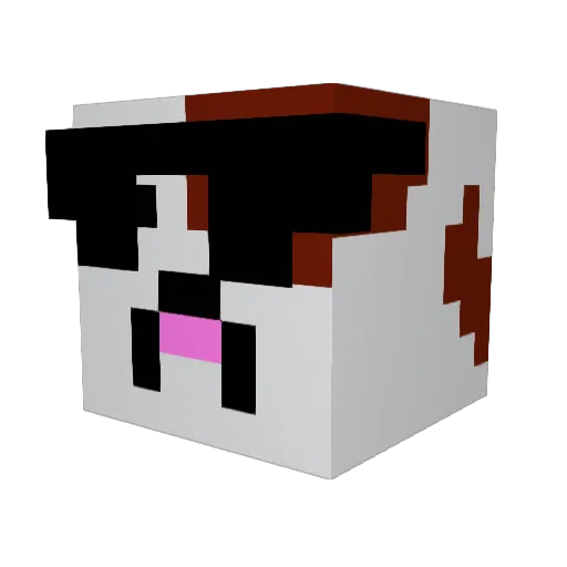 MaximuShooter Minecraft avatar head, 3D render