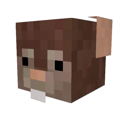 Maximum_Fool Minecraft avatar head, 3D render