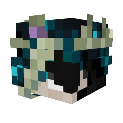 Maximus1006313 Minecraft avatar head, 3D render