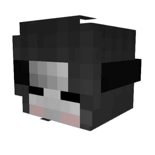 MaximusBrian Minecraft avatar head, 3D render