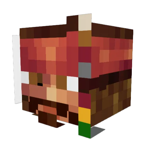 MaximusLingus Minecraft avatar head, 3D render