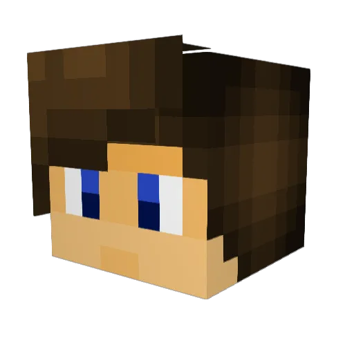 Maximus_3141 Minecraft avatar head, 3D render