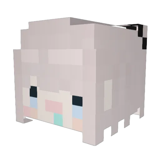 Maximuspotts Minecraft avatar head, 3D render