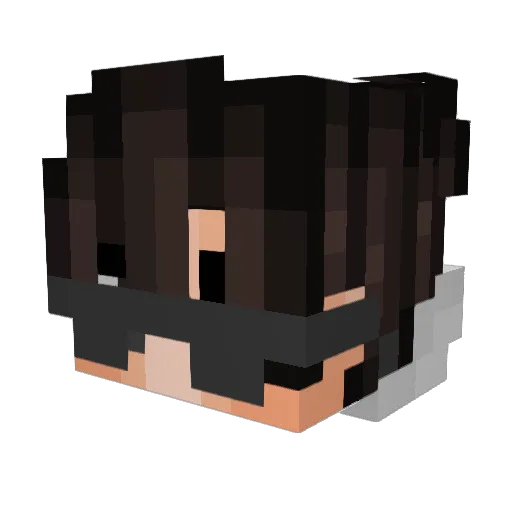 Maxnado_08 Minecraft avatar head, 3D render