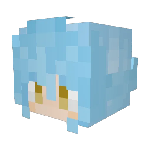 Maxsu_ Minecraft avatar head, 3D render