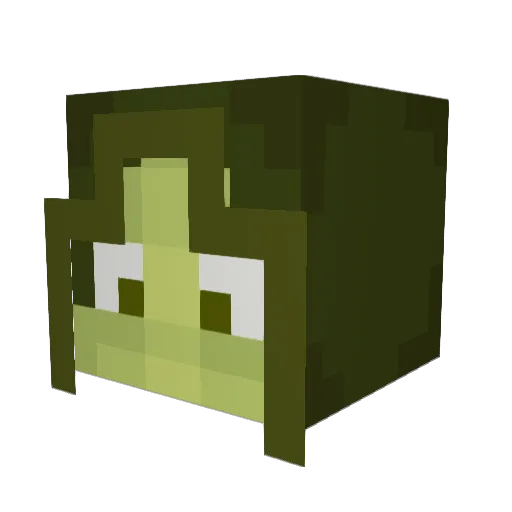 Maxvocado Minecraft avatar head, 3D render