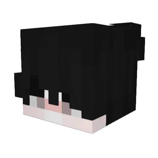 Maxwasnothere Minecraft avatar head, 3D render