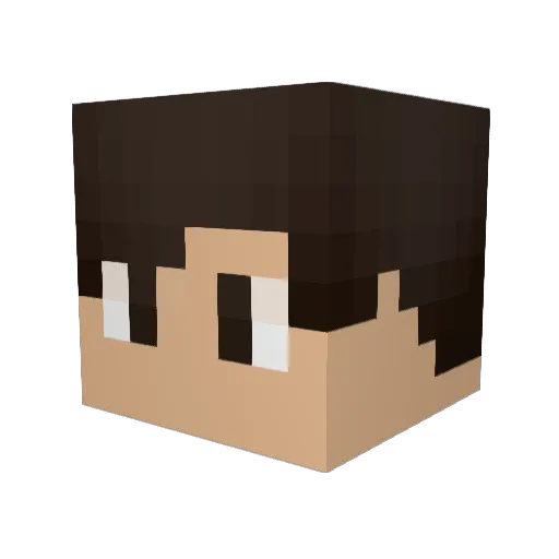 Maxwell224 Minecraft avatar head, 3D render