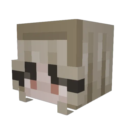 MaxwellRanger Minecraft avatar head, 3D render