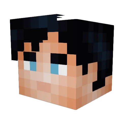 MaxxForce100 Minecraft avatar head, 3D render