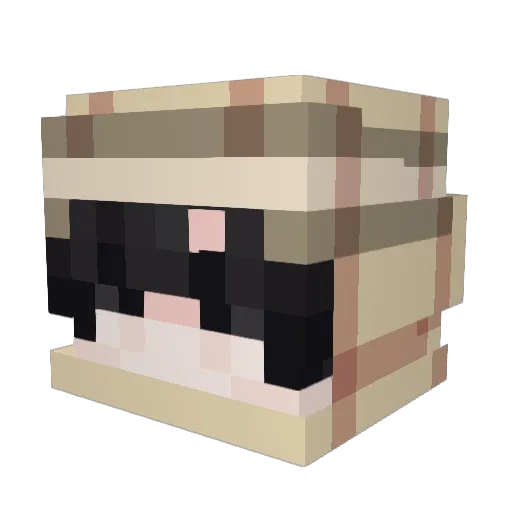 MaxxWla Minecraft avatar head, 3D render