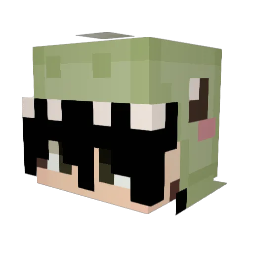 Maxxhazard Minecraft avatar head, 3D render