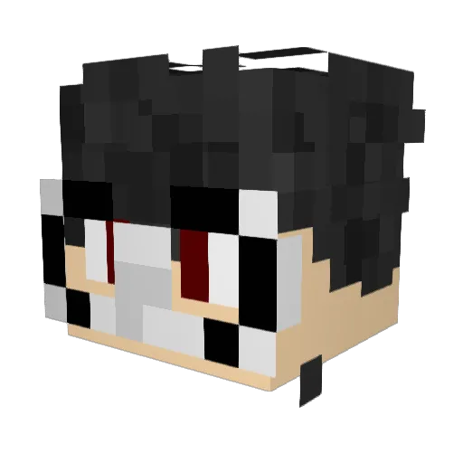 Maxxlol5 Minecraft avatar head, 3D render