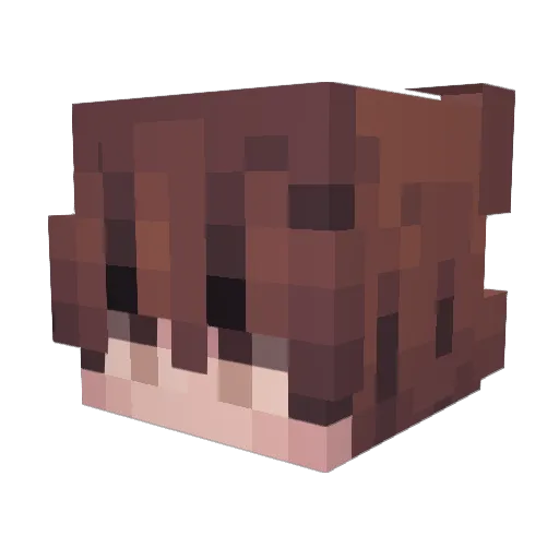 Maxxy05 Minecraft avatar head, 3D render