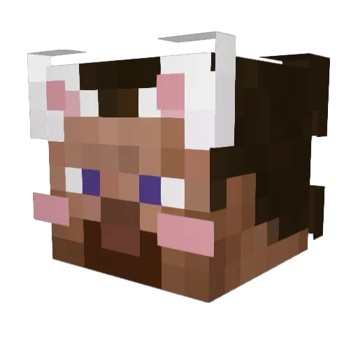 MaxzxDC Minecraft avatar head, 3D render