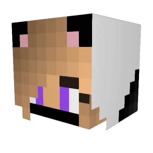 May000 Minecraft avatar head, 3D render