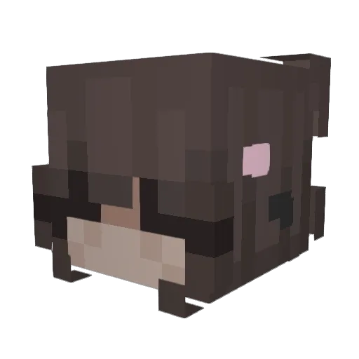 May537 Minecraft avatar head, 3D render
