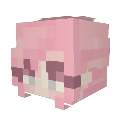 MayFlower12_05 Minecraft avatar head, 3D render