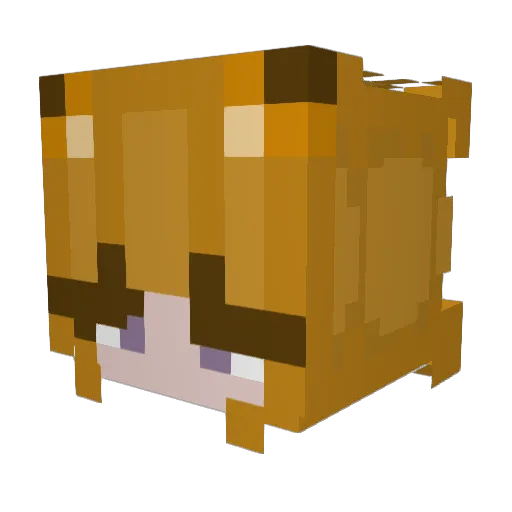 MayFox455 Minecraft avatar head, 3D render