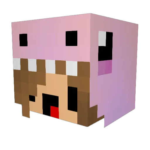 MayTamar Minecraft avatar head, 3D render