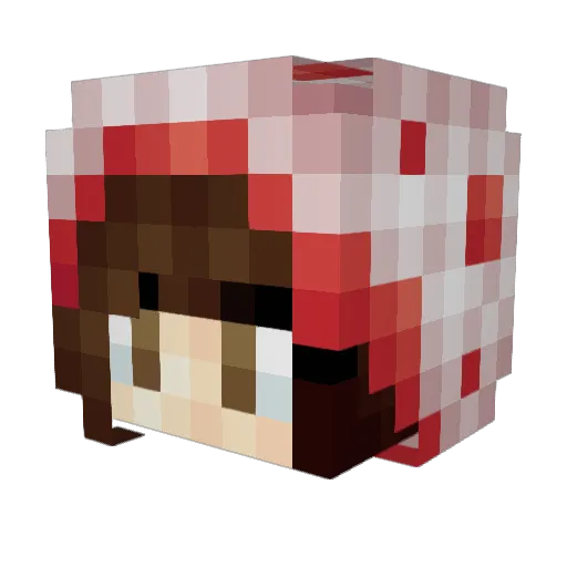 Maya221 Minecraft avatar head, 3D render