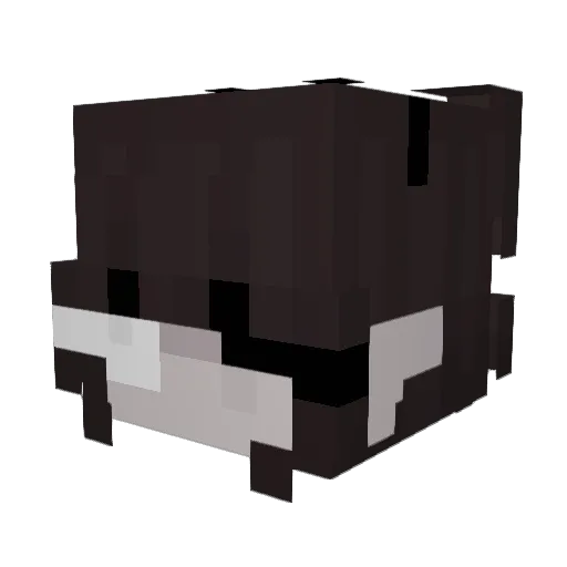 MayaPLayz5349 Minecraft avatar head, 3D render