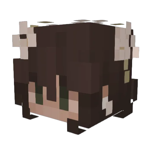 MayaTheCorrect Minecraft avatar head, 3D render
