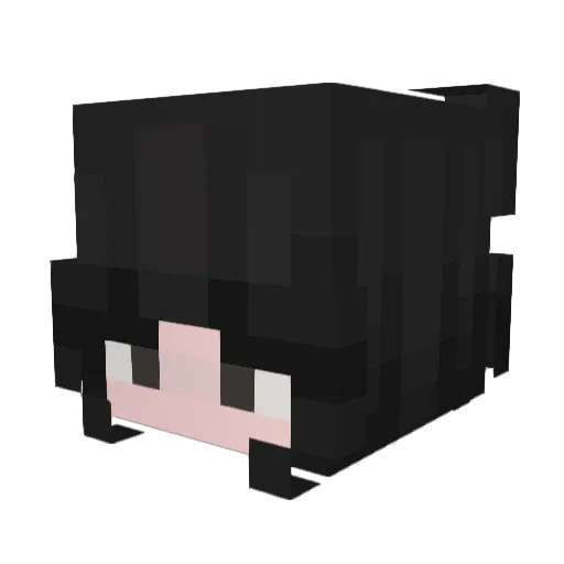 Mayax9041 Minecraft avatar head, 3D render