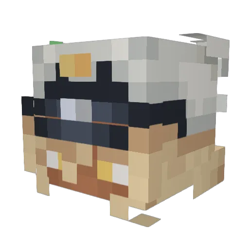 MaybeVerr Minecraft avatar head, 3D render