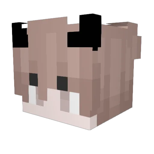 Maybe_Ali Minecraft avatar head, 3D render