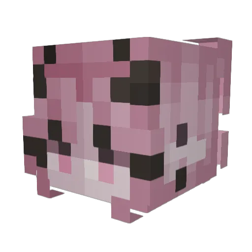 MaydayBelle Minecraft avatar head, 3D render