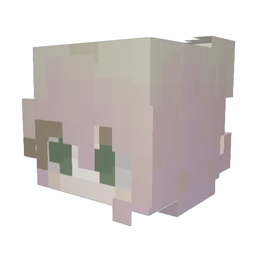 Maydeen01 Minecraft avatar head, 3D render