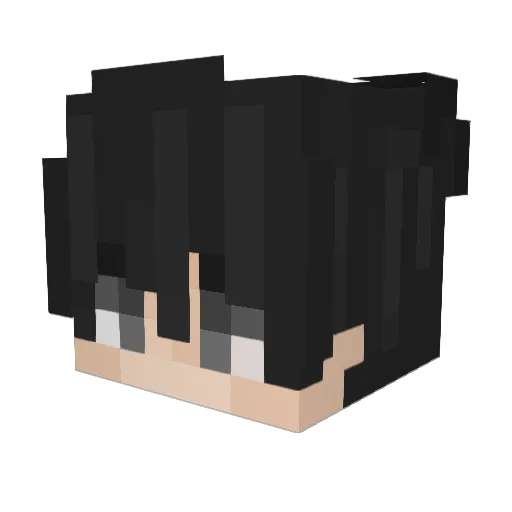 Maydexx1x Minecraft avatar head, 3D render