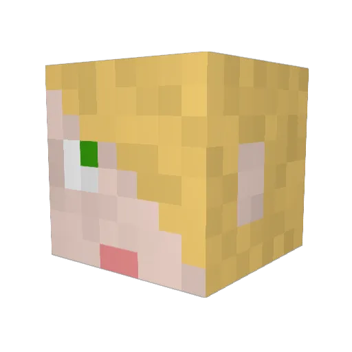 Maydoh Minecraft avatar head, 3D render