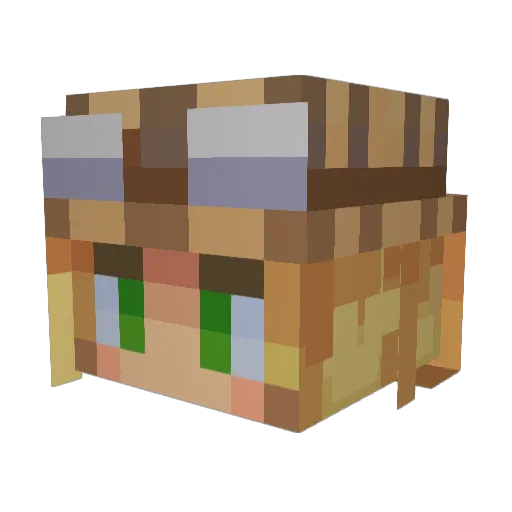 Mayeul2811 Minecraft avatar head, 3D render