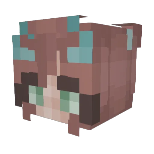 Maygrave Minecraft avatar head, 3D render